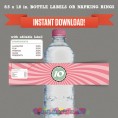 Ice Cream Parlour Party Printable Birthday Bottle Labels