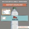 Vintage Airplane Party Bottle Labels
