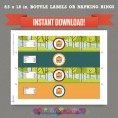 Camp Out / Camping Party Printable Birthday Bottle Labels 