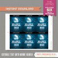 Disco Party VIP Pass printable Insert (Blue) 