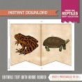 Reptile Party Banner with Spacers