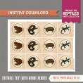 Reptile Party Labels / Reptile Party Cupcake Toppers (No Text)