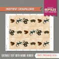 Reptile Party Mini Chocolate Wrappers 
