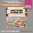 Reptile Party Invitations & Decorations 