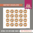 Star Wars Party Bottle Labels / Napkin Rings