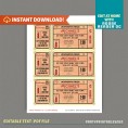 Vintage Style Baseball Ticket Invitation