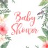 Baby Shower (1)